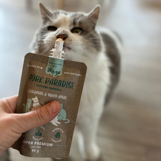Snacks Saludables para Gatos: Descubre Pork Paradise Pouch, el Placer Nutritivo que tu Gato Merece