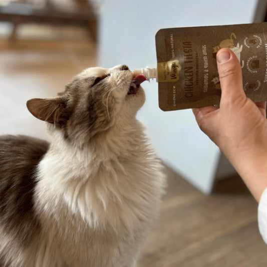 Snacks Saludables para Gatos: Descubre Chicken Fiesta, la Comida Natural que tu Gato Amará