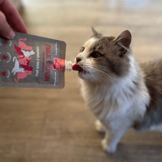 Snacks Saludables para Gatos: Descubre Magic Salmon GATOS, la Comida Premium que tu Gato Merece