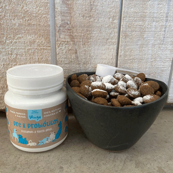 Snacks Saludables para Gatos con Probióticos: Mejora la Salud Digestiva de tu Gato