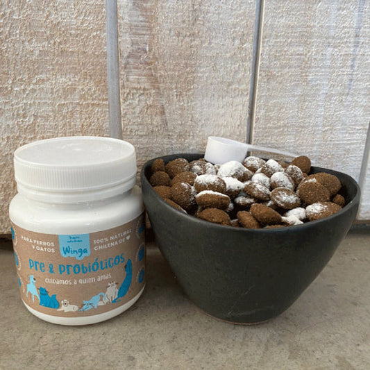 Snacks Saludables para Gatos con Probióticos: Mejora la Salud Digestiva de tu Gato