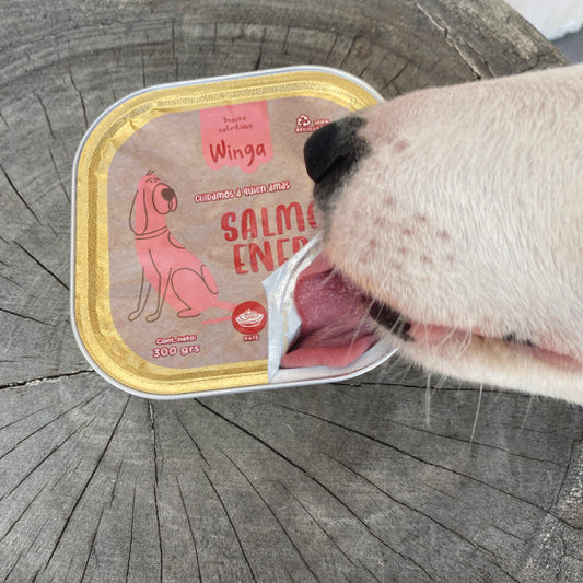 🐾 Paté de Salmón para Perros: El Snack Saludable que Mejora su Energía y Vitalidad