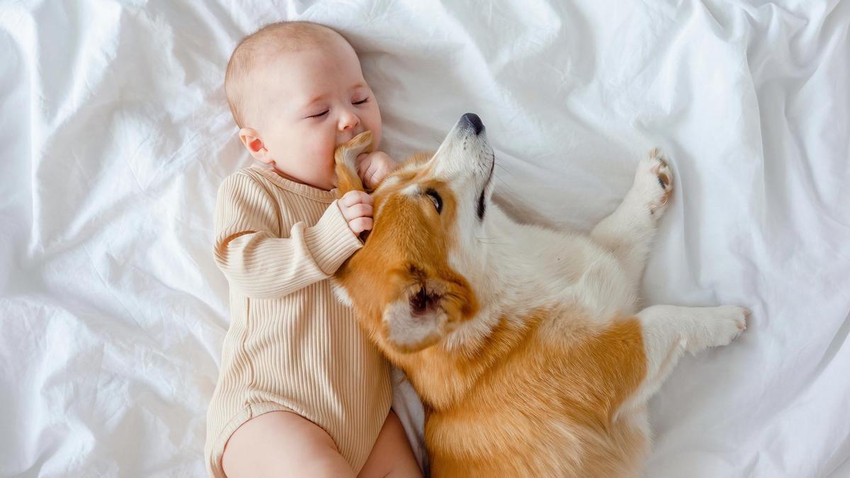 Curso: Tu bebé llega a la familia - Winga