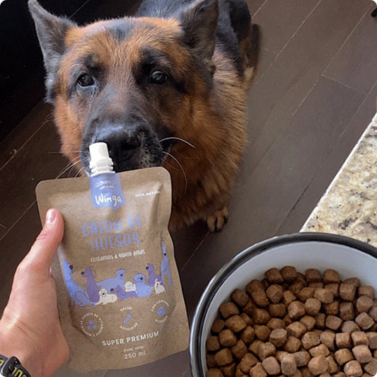 Snacks Saludables para Perros: Descubre los Increíbles Beneficios del Caldo de Huesos Natural