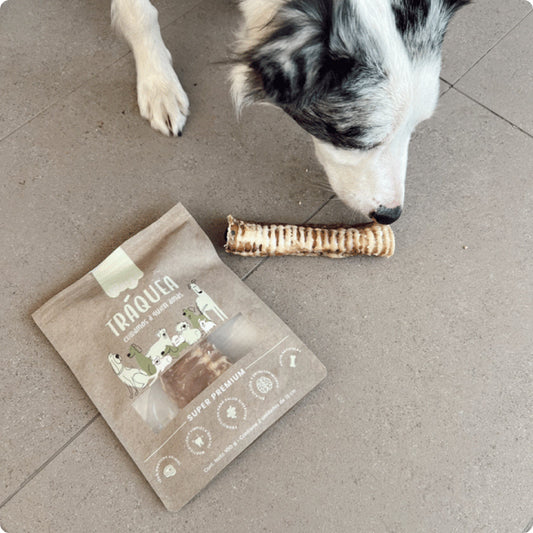Tráquea de Vacuno para Perros: Snack Saludable y Natural que tu Mascota Amará