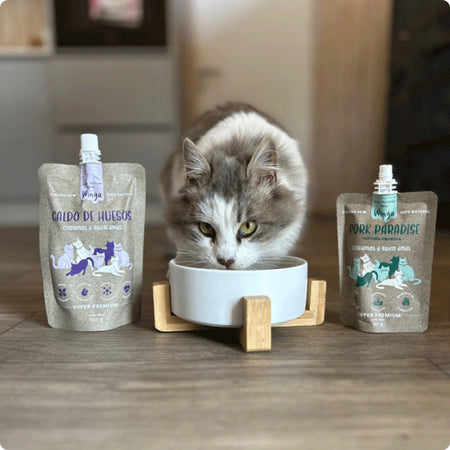 Tienda Gato