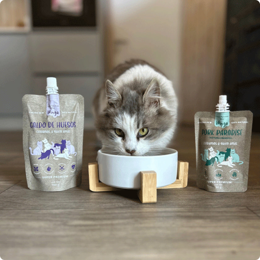 Tienda Gato