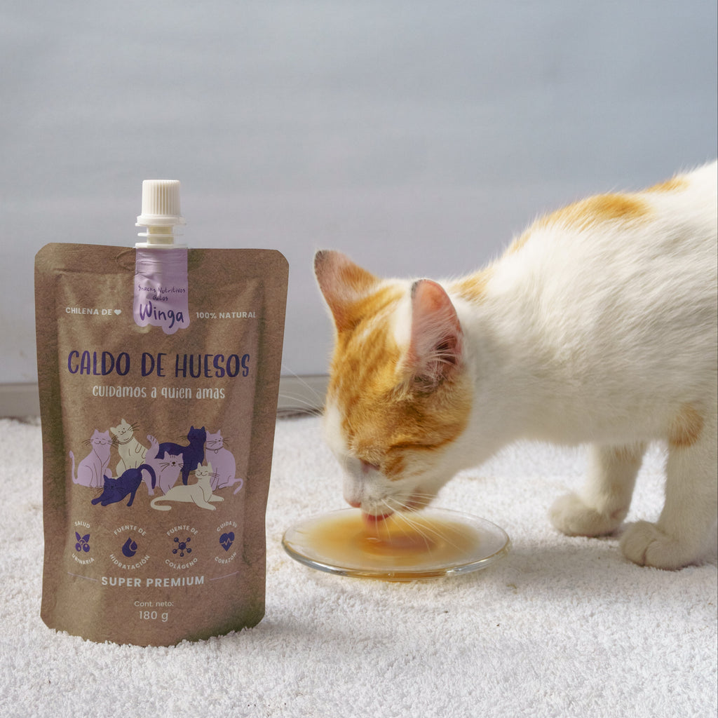 Caldo de Huesos Gatos
