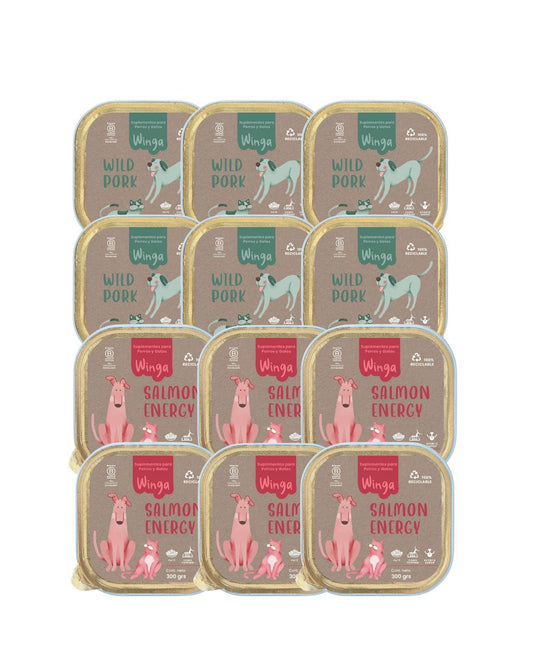 Pack 12 Patés Cerdo y Salmón