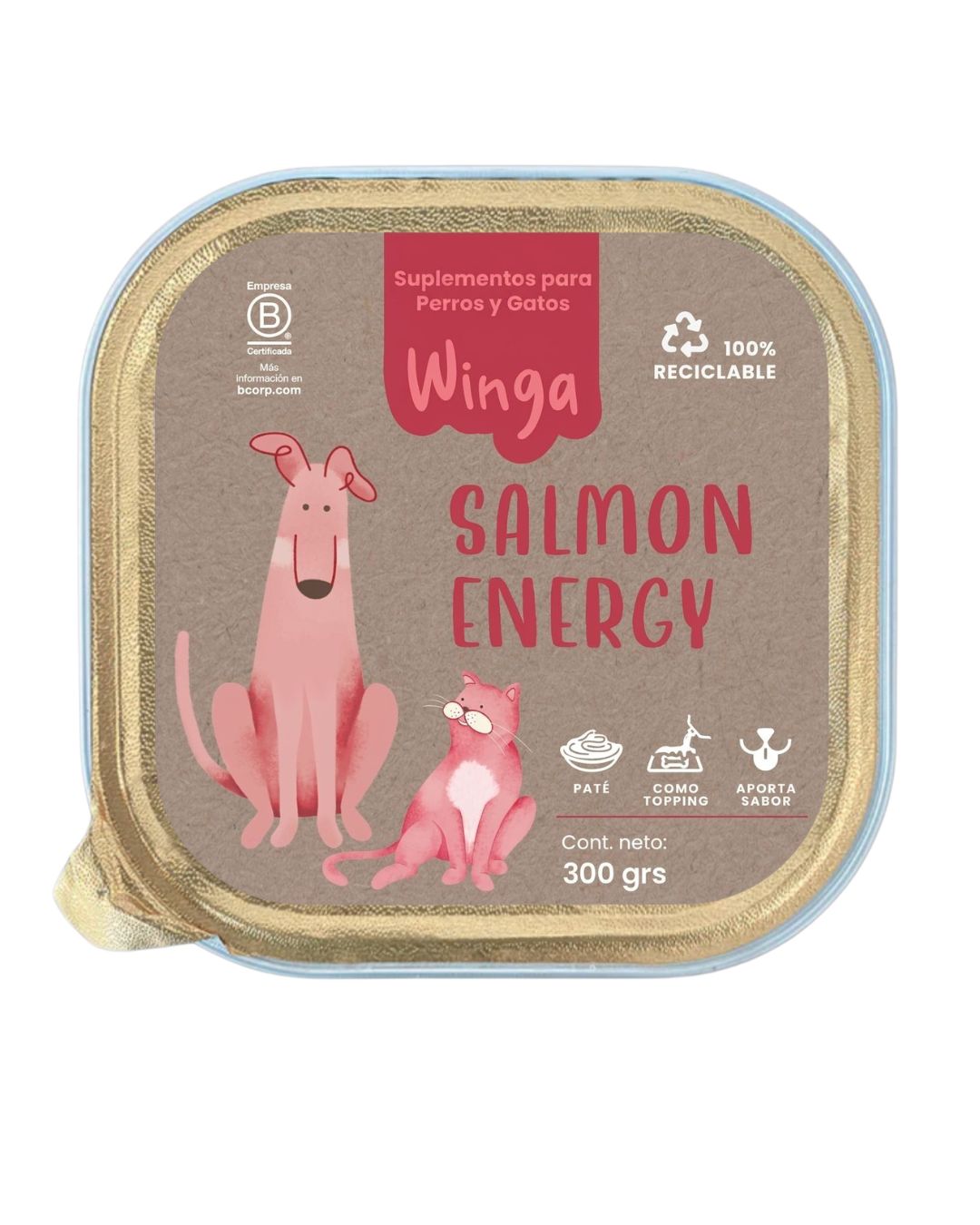 Salmon Energy