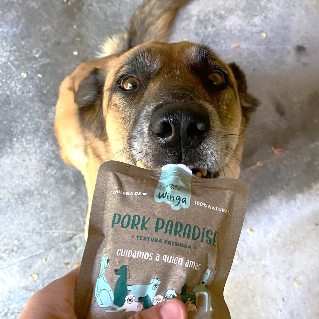 Pack Ahorro Winga Perros