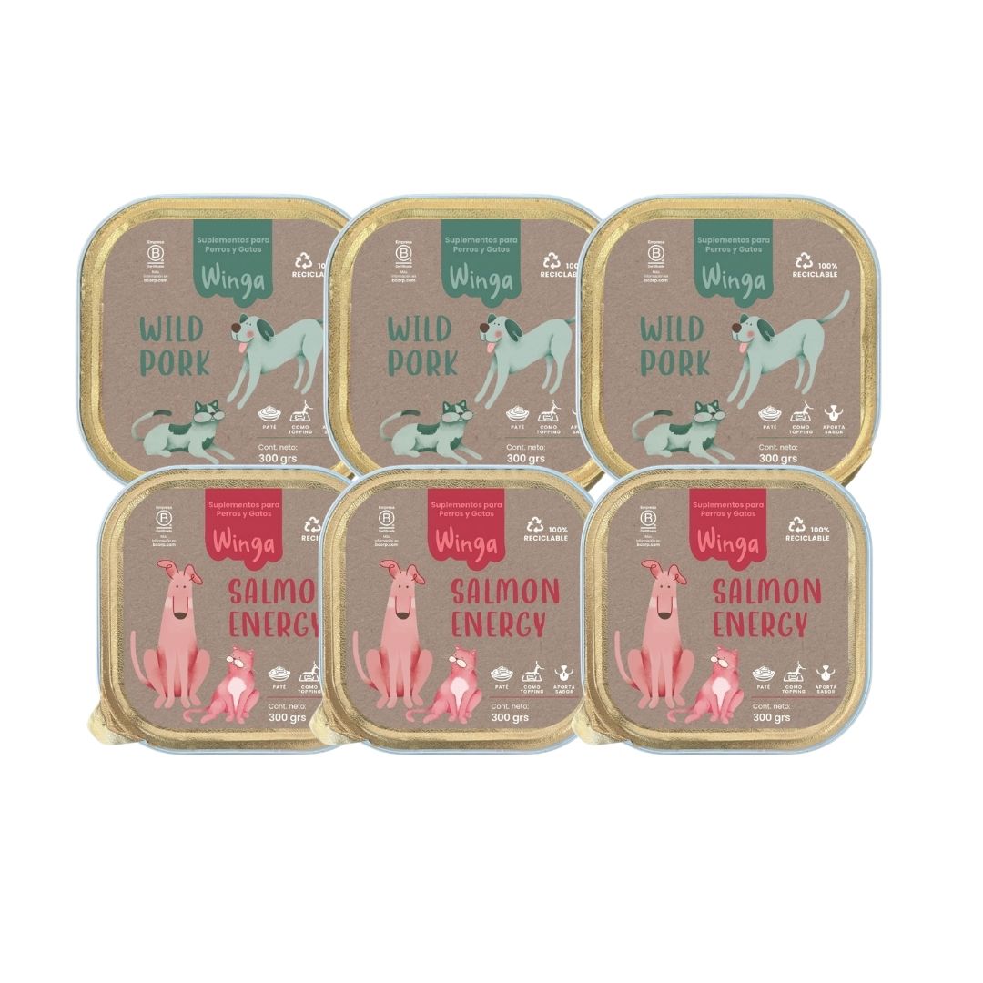 Pack 6 Patés Cerdo y Salmón