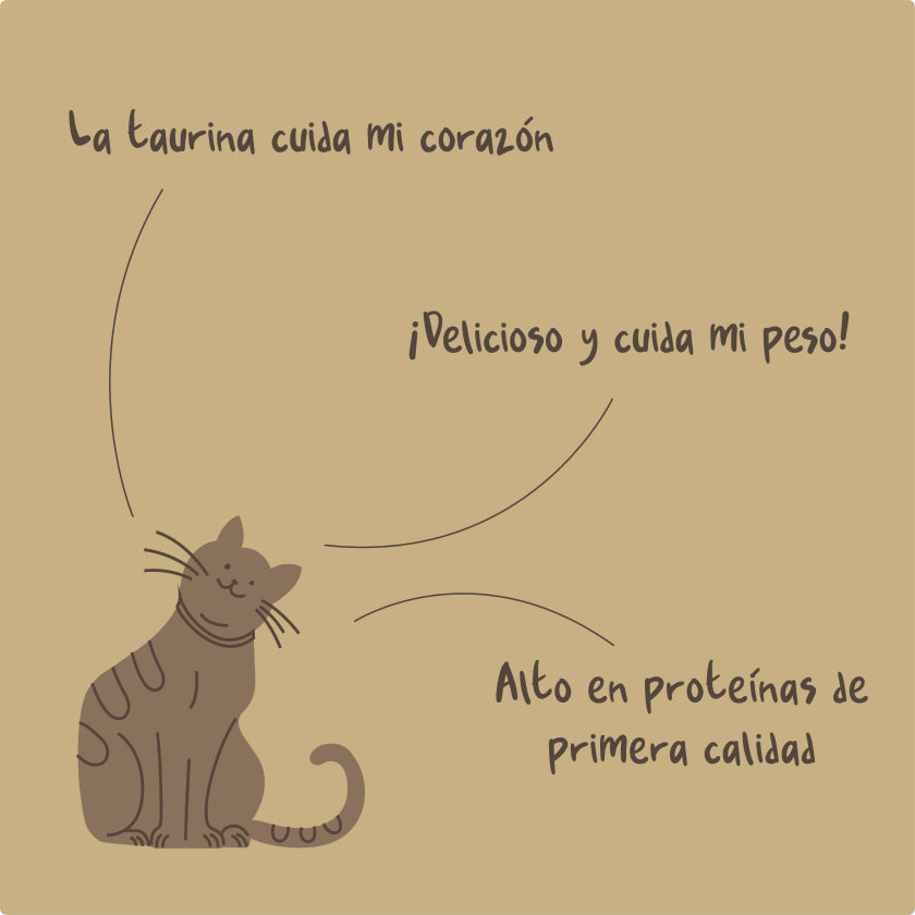 Chicken Fiesta Gatos