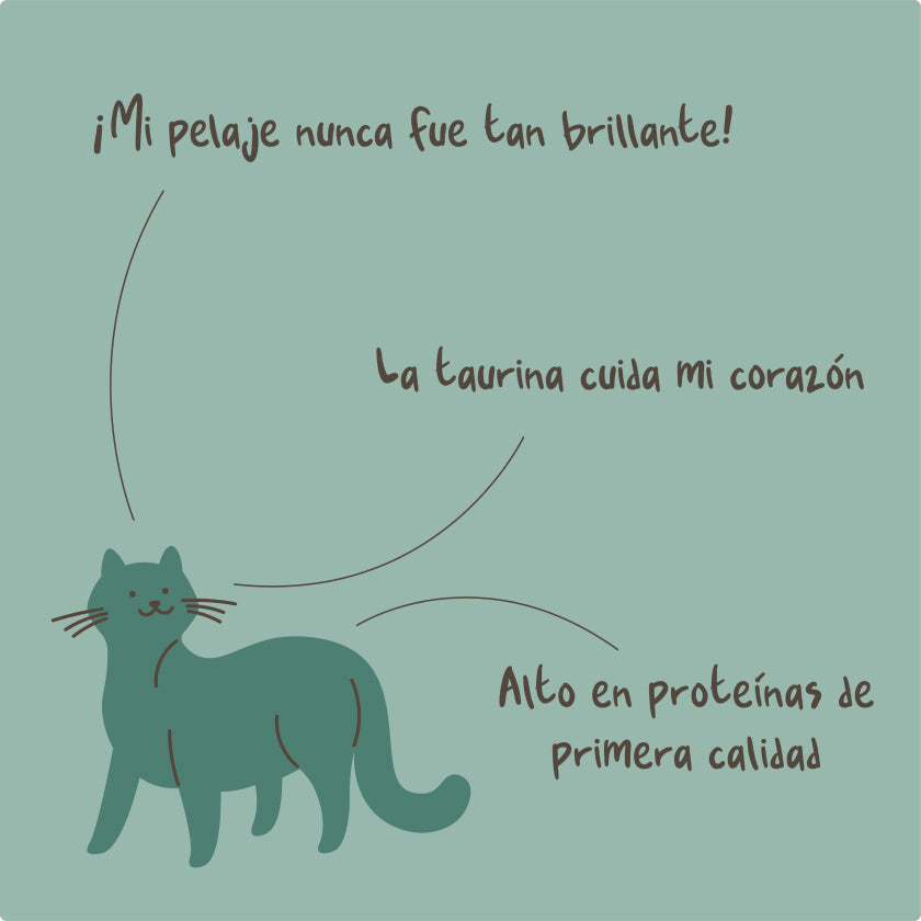 Pork Paradise Gatos