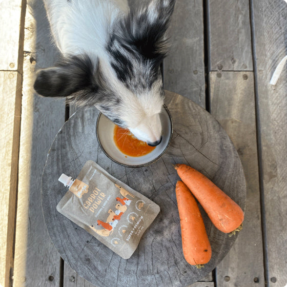 Carrot Power