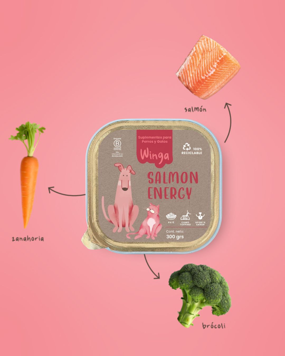 Salmon Energy