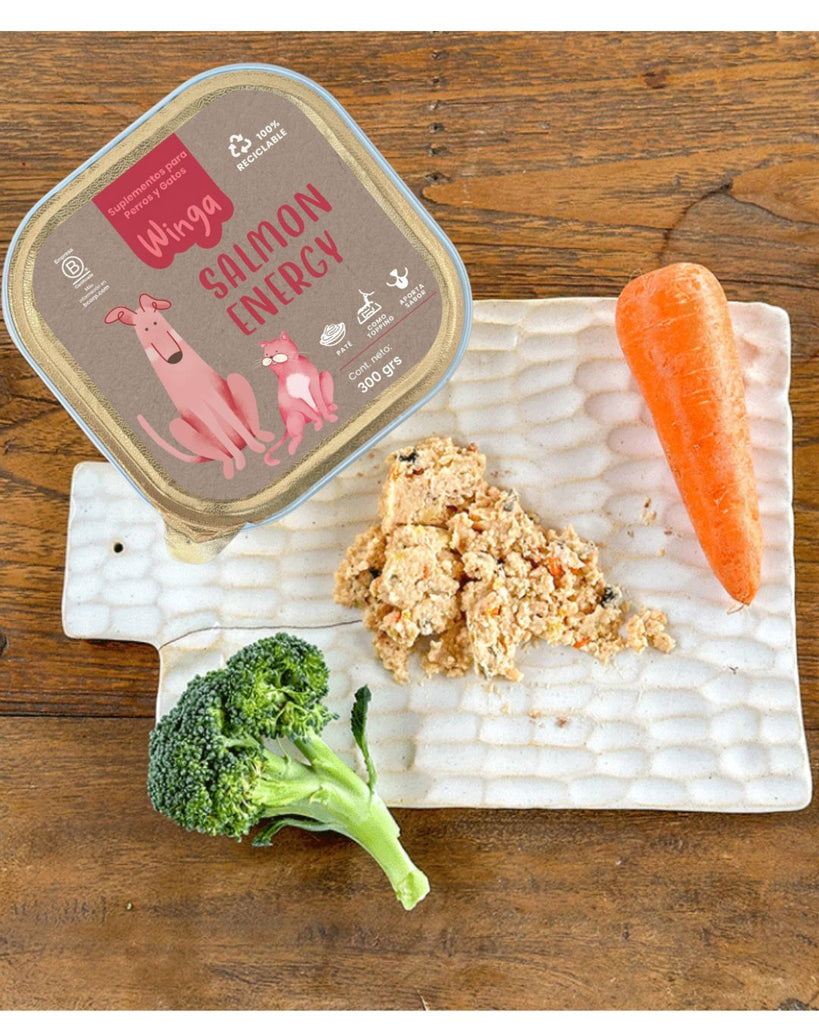 Salmon Energy