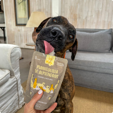 Snacks Perro