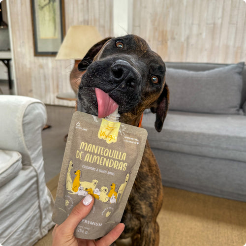 Tienda Perro