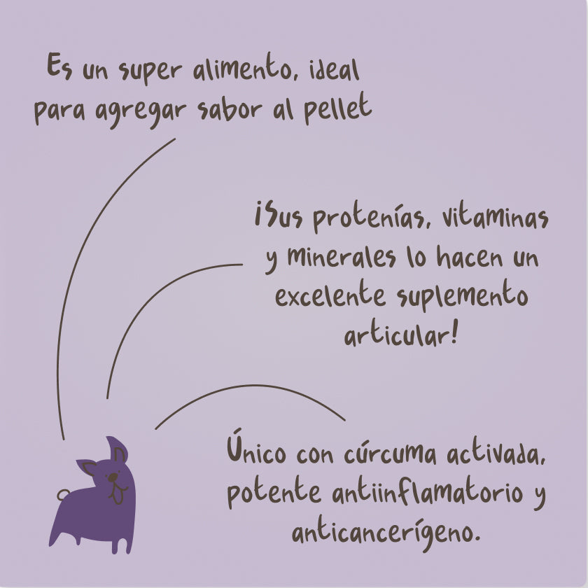 Caldo de Huesos Perros
