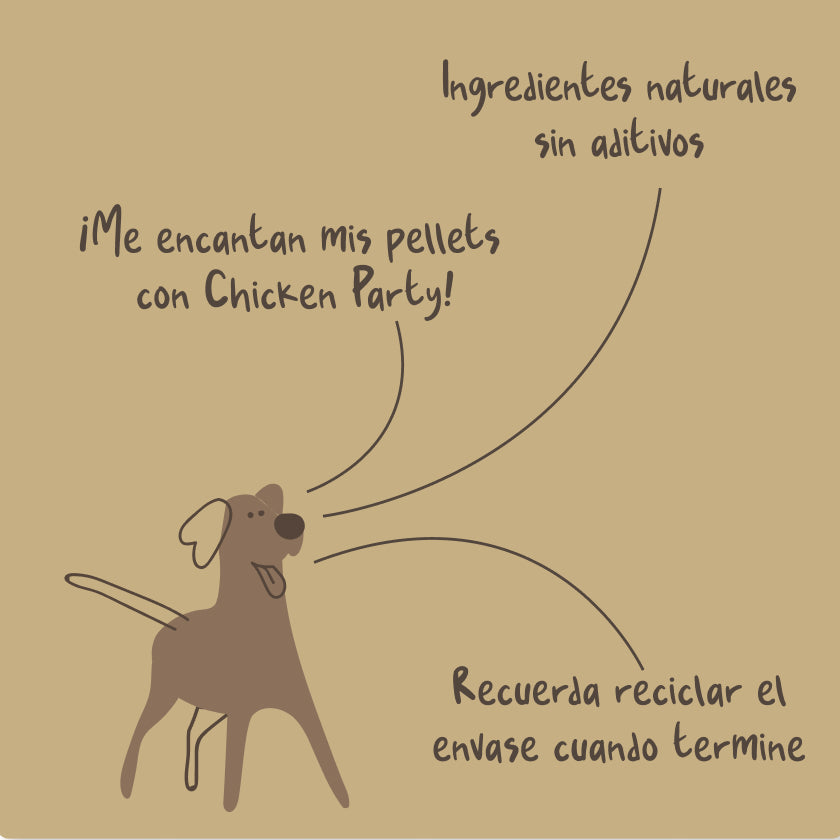 Chicken Party