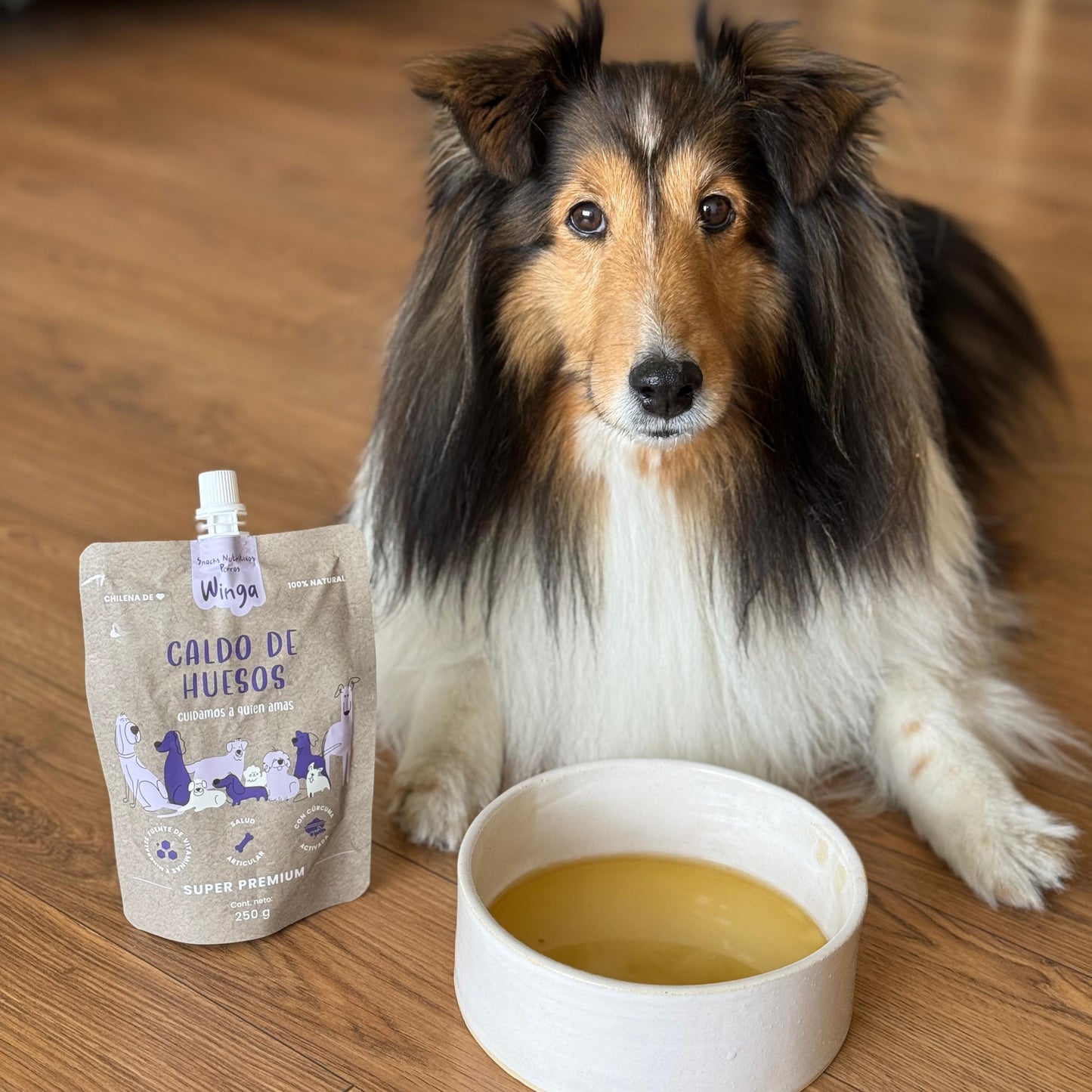 Caldo de Huesos Perros