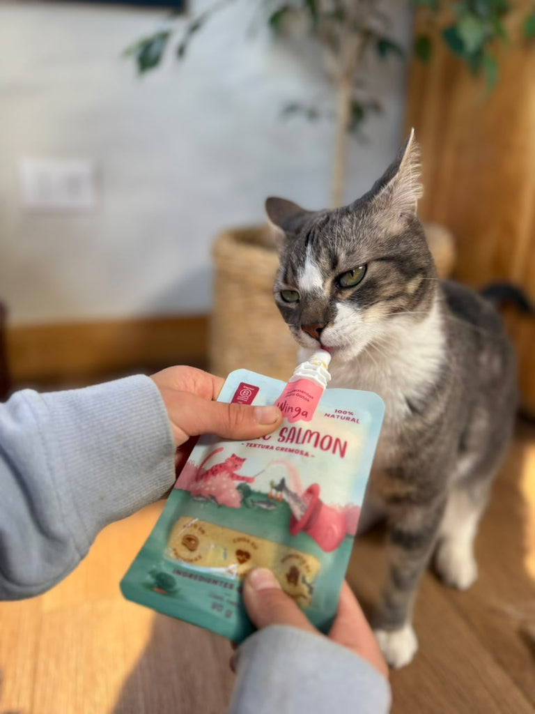 Pack Degustación Gatos