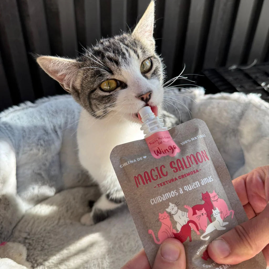 Pack Winga Gatos para 1 mes