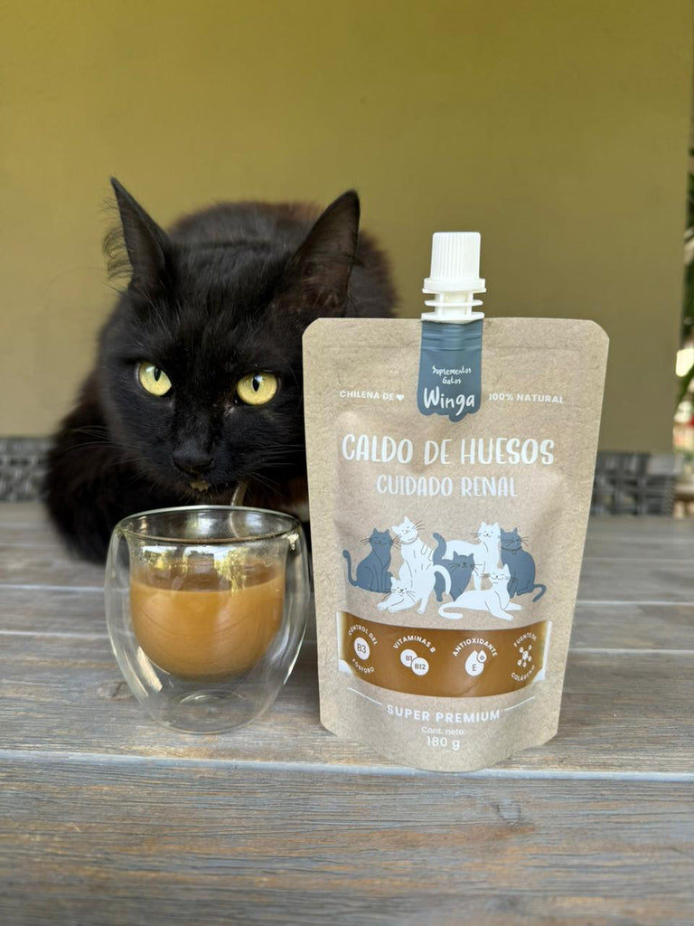 Caldo de Huesos Renal Gatos