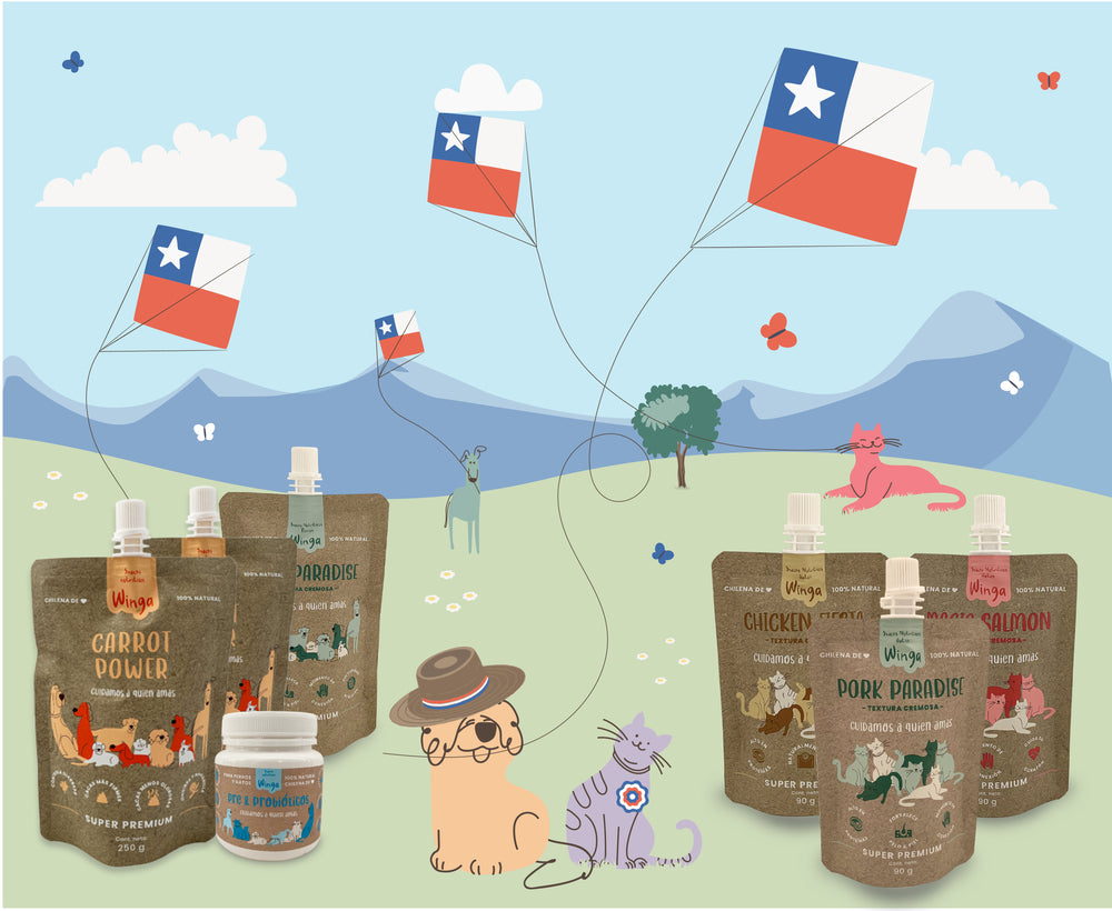 Tienda perro