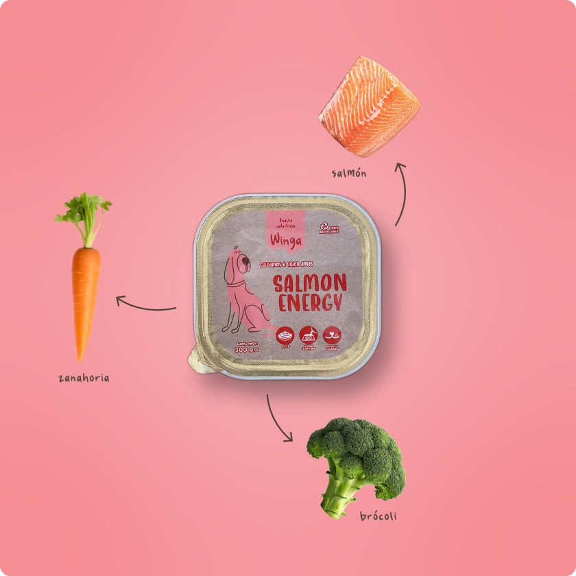 Salmon Energy