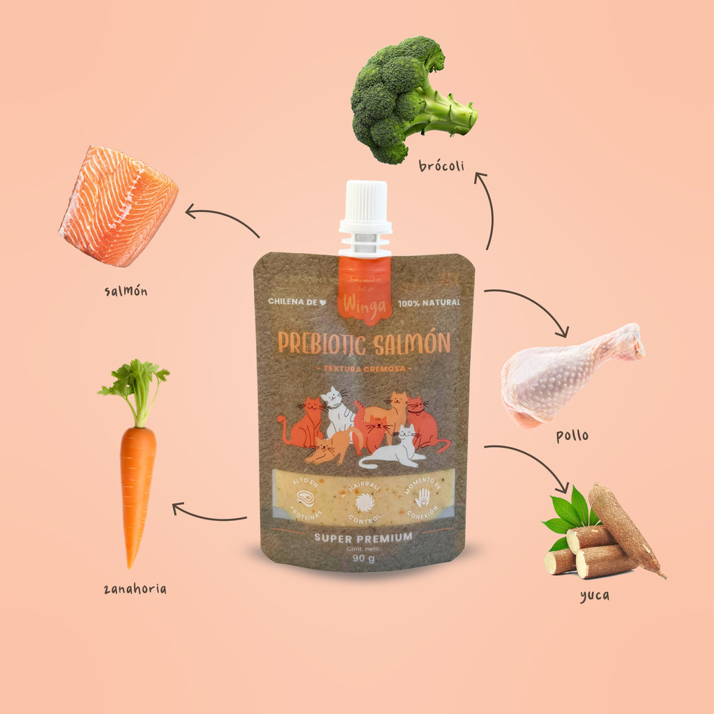 Prebiotic Salmon Gatos