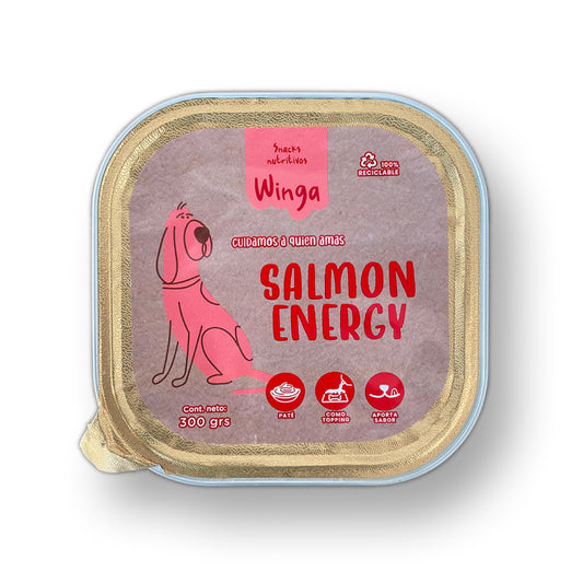 Salmon Energy