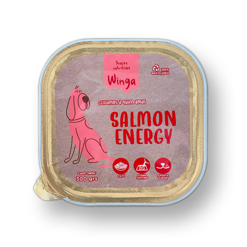 Salmon Energy
